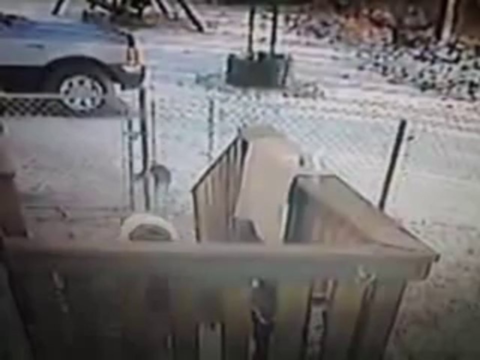 Viewer Video Cat attacks woman in the snow