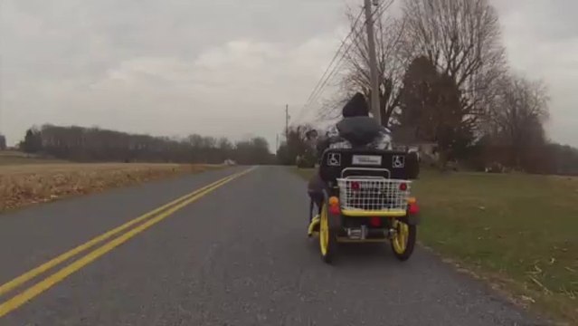 The Killer Bees swarm bank own highway hells angels motorcycle gangs