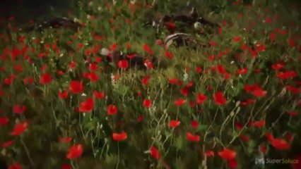 Kingdom Come : Deliverance - Trailer