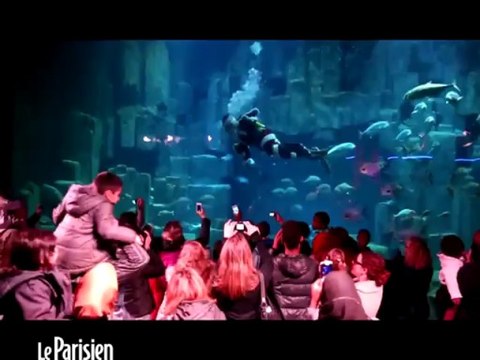 Le Pére Noël s'offre un plongeon dans l'aquarium de Paris