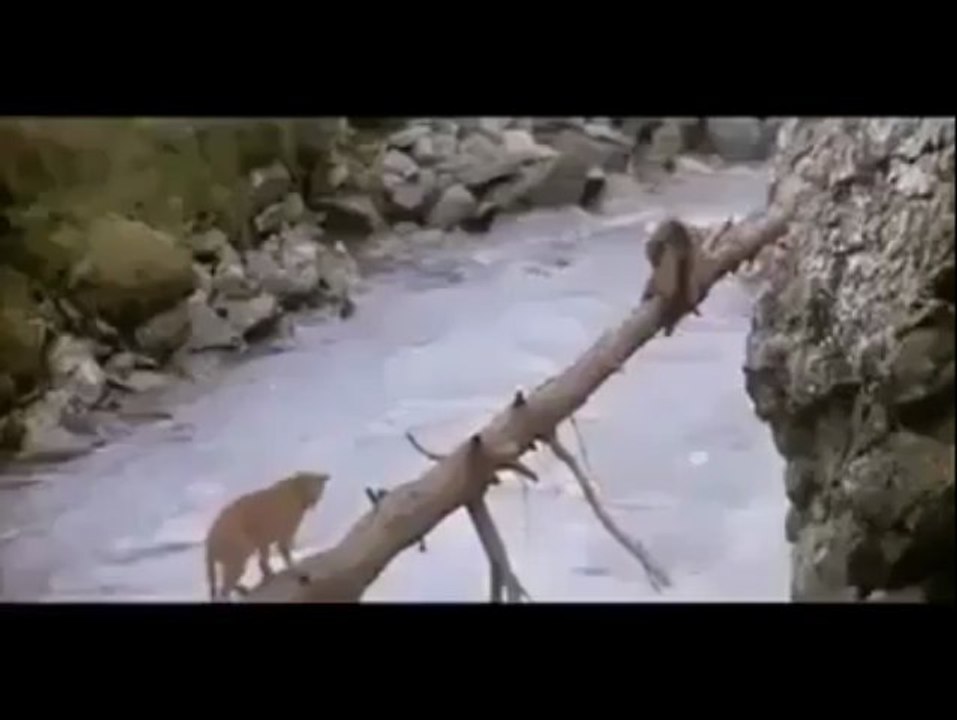 funny.