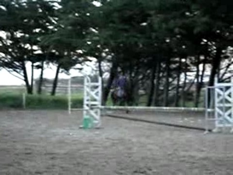 1er concour avec mon cheval (E2)