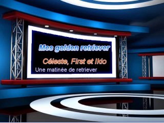 Sabournac Céleste First Ikio