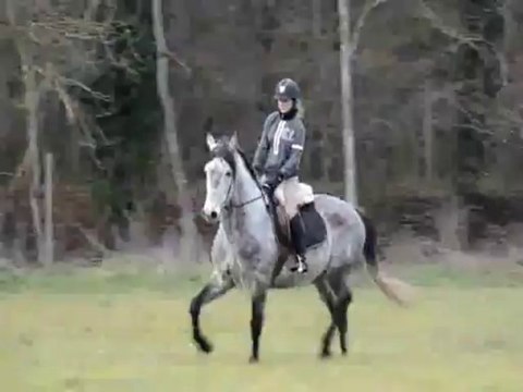 Joc changement de pied galop