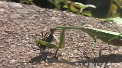 nom nom nom nom nom nom.....