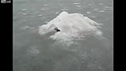 Russian Loch Ness Monster?