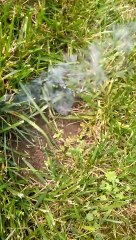 the most boring video ever