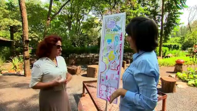 Globo Repórter (HD) 20.12.2013 “Transformadores”