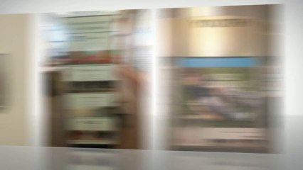 optometrist& optical care