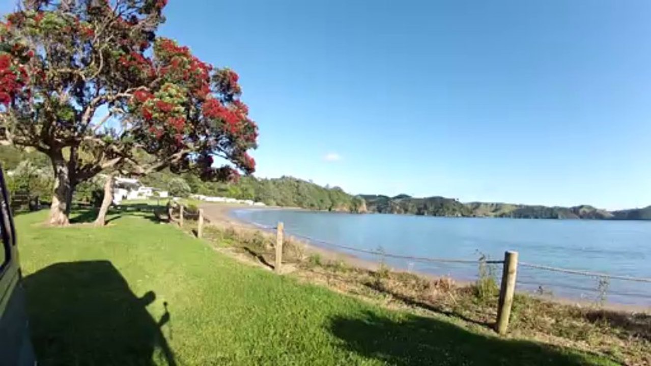 Réveil Bay of Island