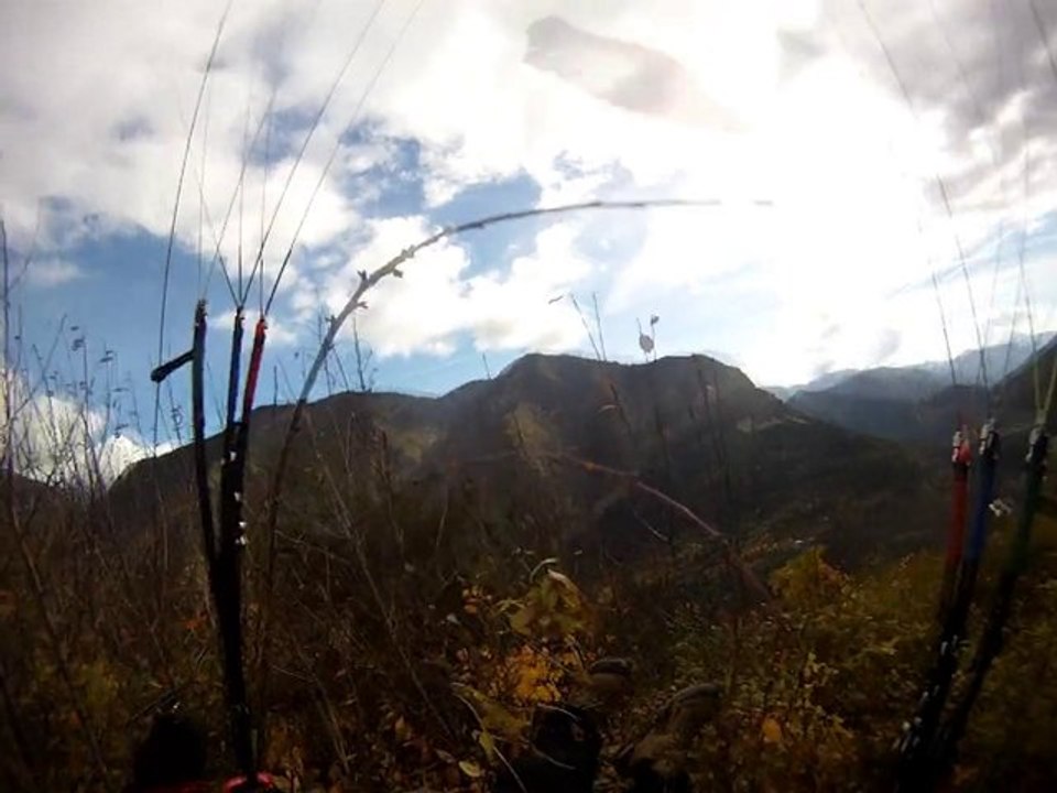 Comme un oiseau dans les branches d'arbres