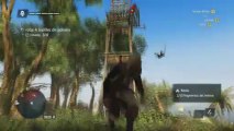 Fails Assassins Creed Black Flag