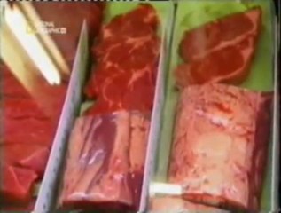 Carne y grasa cruda: La dieta primitiva