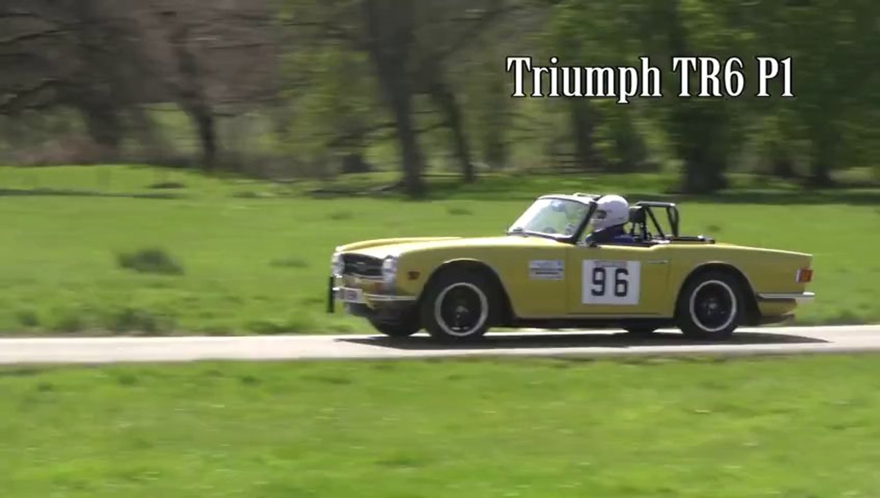 Werrington Park Hillclimb 2013 Start Line Action #2