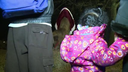 Camel draws crowds at Nativity scene in small US town