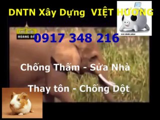 Sơn sửa nhà đón Tết ở quận 1 gọi / Thanh 0917 348216