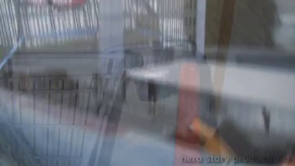 Vlog Of Awesome - Shopping Cart/White Trailer Trash