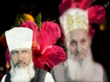 Hazrat Faqeer Hakeem Sufi Manzoor Ahmad Shah Naqeebi Shera Kot Bund Road Lahore