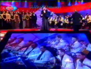 Ayşe TAŞ-Ayağına Giymiş Sedef Nalini