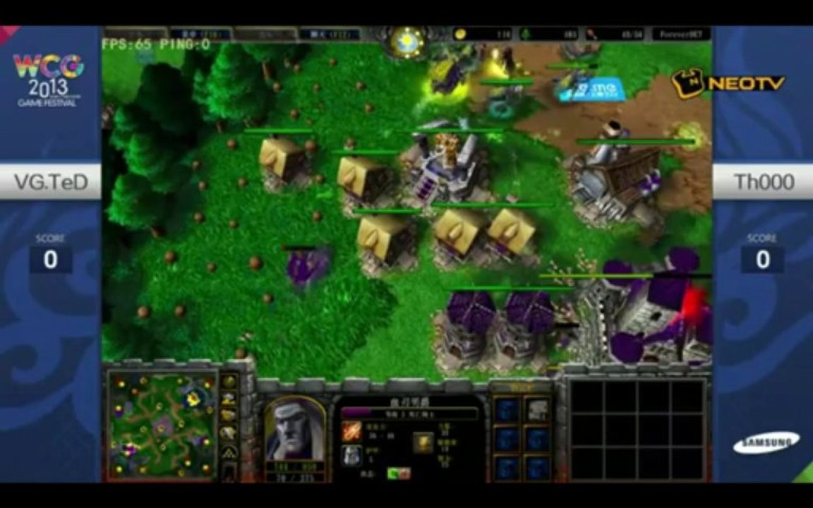 ro4 Chinese Qualifiers WCG 2013 - TeD vs TH000 - Game 1