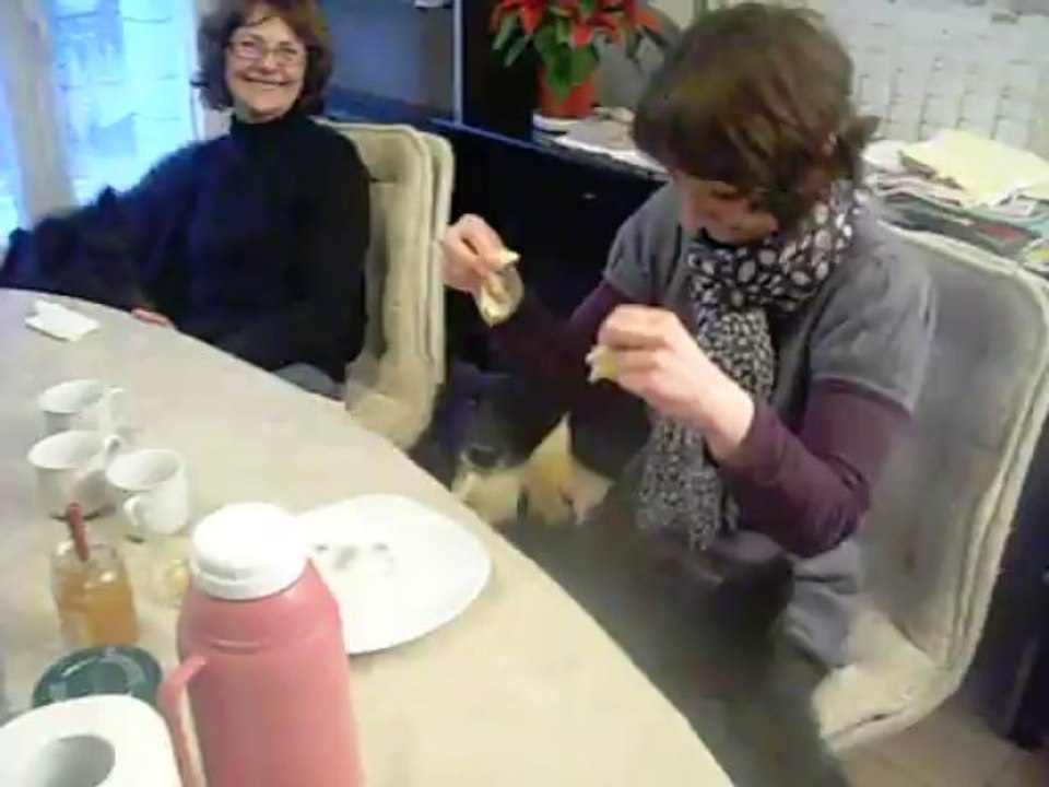 22 décembre 2013 (2) : quand Nathalie ne distribue pas assez vite