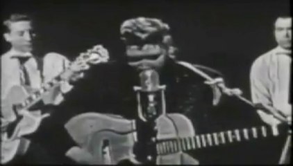 STEVAN WAGNER to ELVIS PRESLEY