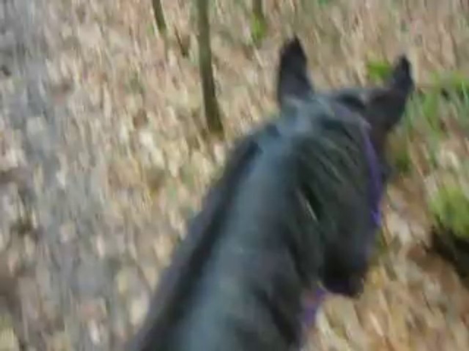 DSCN4490