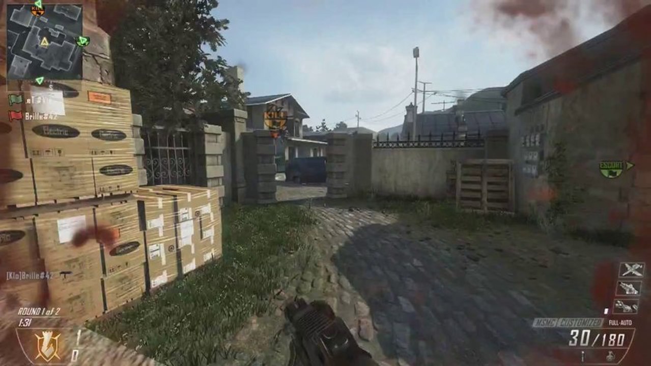 The Truth About Partnering Your Channel - Black Ops 2
