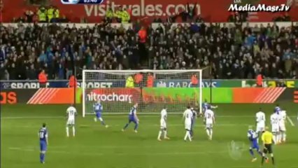 سوانزي سيتي 1-2 إيفرتون - الأسبوع 17 - 22/12/2013
