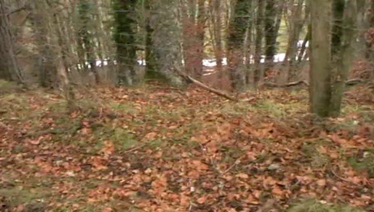 entrainement 22 12 2013