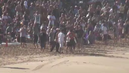 Eddie Aikau Big Wave 20