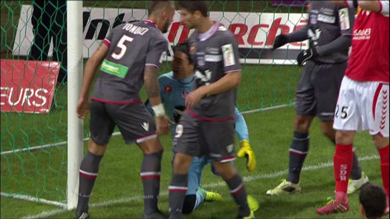 Ligue 1 - Top arrêts de la 19ème journée - 2013/2014