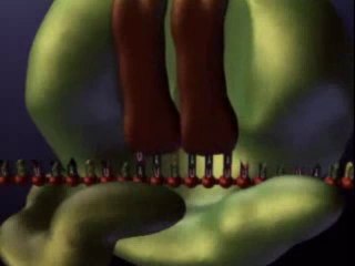 Protein Synthesis, Translation (1)