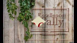 Master Tally Partner Tally Solutions By Excellence Tally