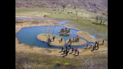 Baran Alp - Sew Tarî (Rindê Colig)