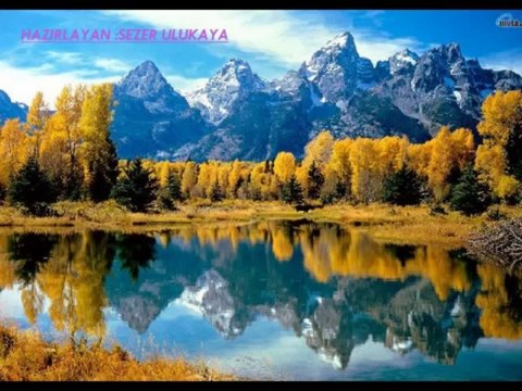 ALİ ÇELİKTAŞ KALBİ ELİNEN