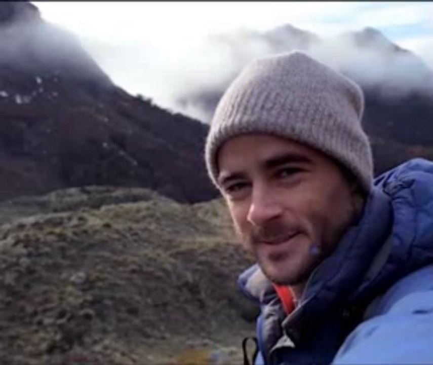 Danse avec les dauphins