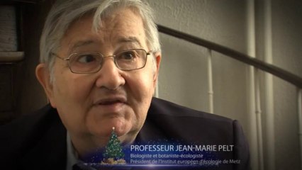 Mes Noëls de Moselle - Jean-Marie Pelt