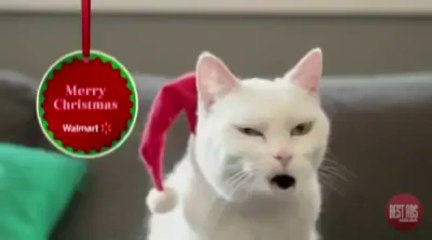 Christmis Fun Must Watch By Hot Desi Video