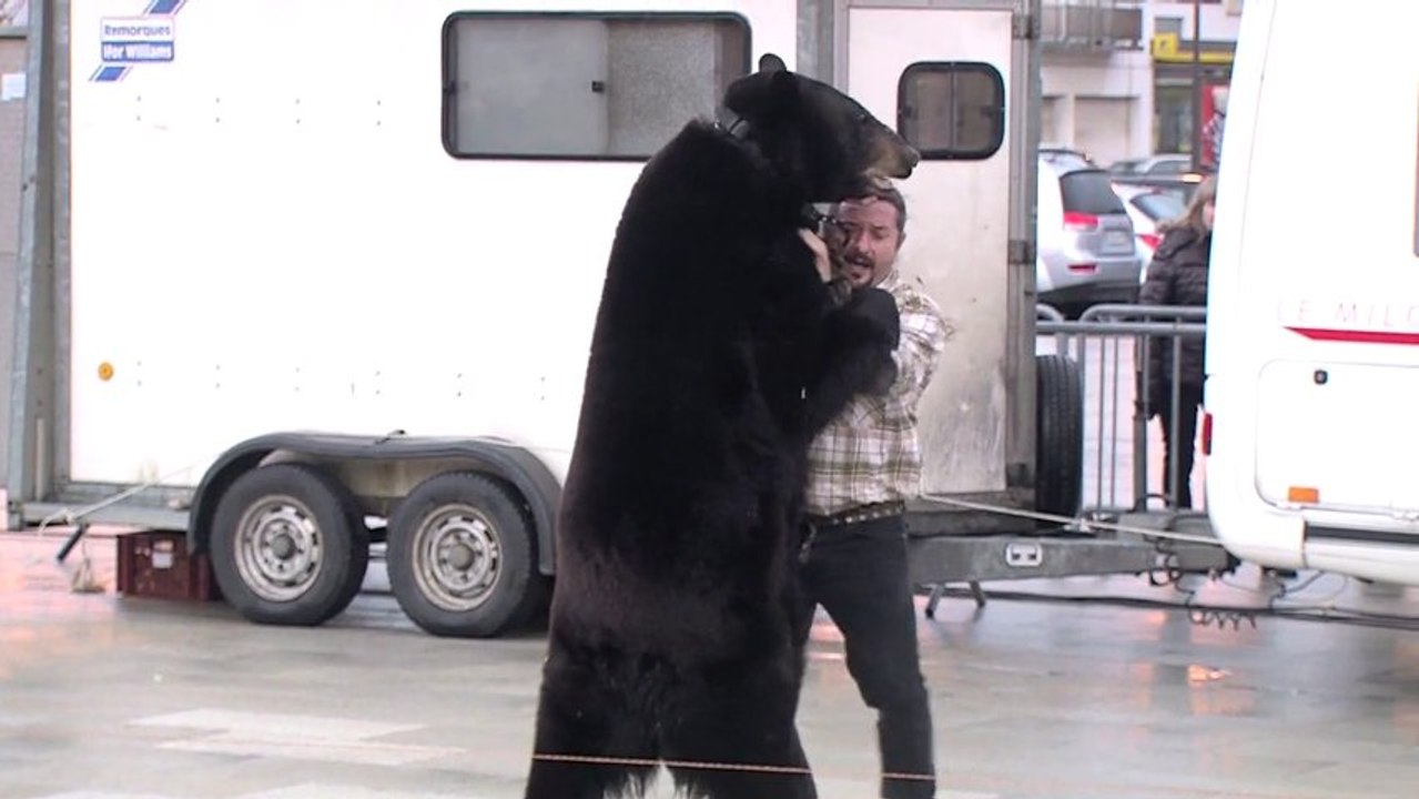 ATCHAKA - L'ours Valentin à Calais