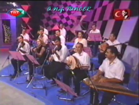 Ayşe TAŞ-Kalbimde Gizli Bir Sevgi Mi Arar