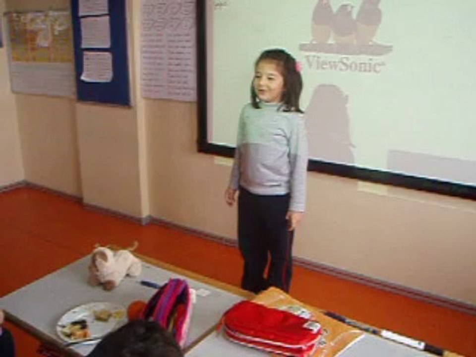 AYŞE TORUN