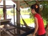 إنتاج الحرير الطبيعي في كمبوديا
