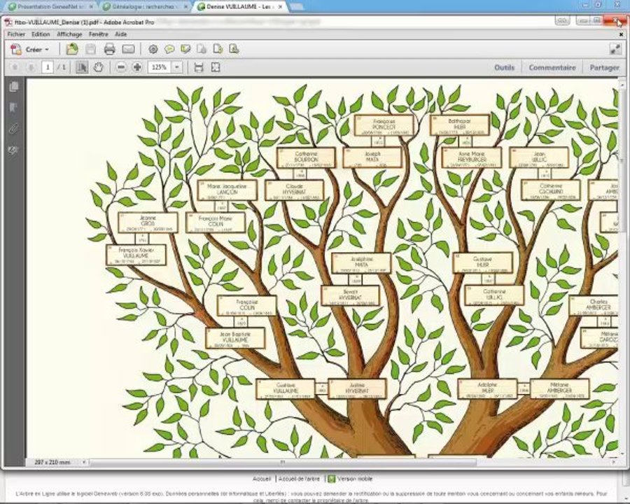 Votre arbre dans tous ses états
