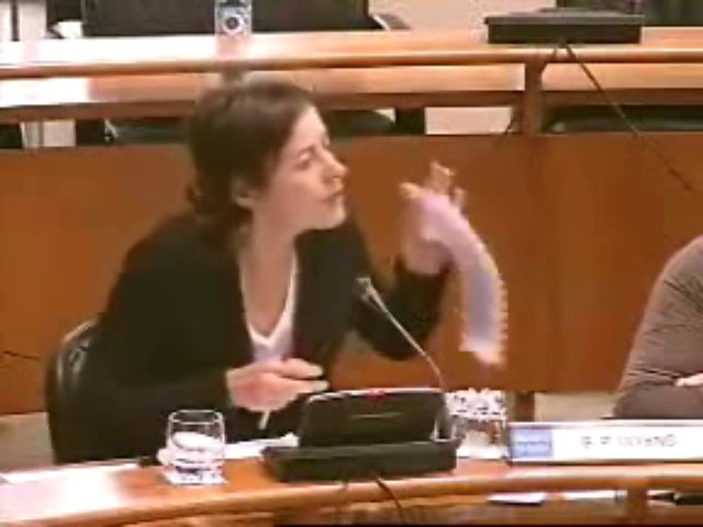 uso del gallego EN la diputacion la coruña