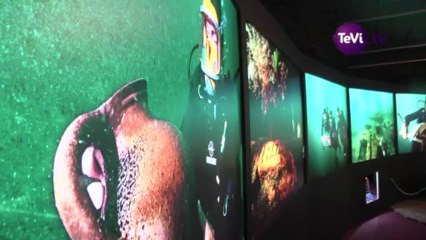 [TéVi] Histoire de corsaire au Musée du vieux Granville