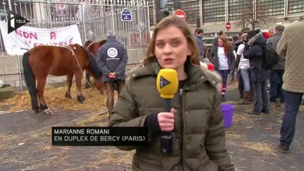 Les professionels veulent tailler des croupières à l'"équitaxe"