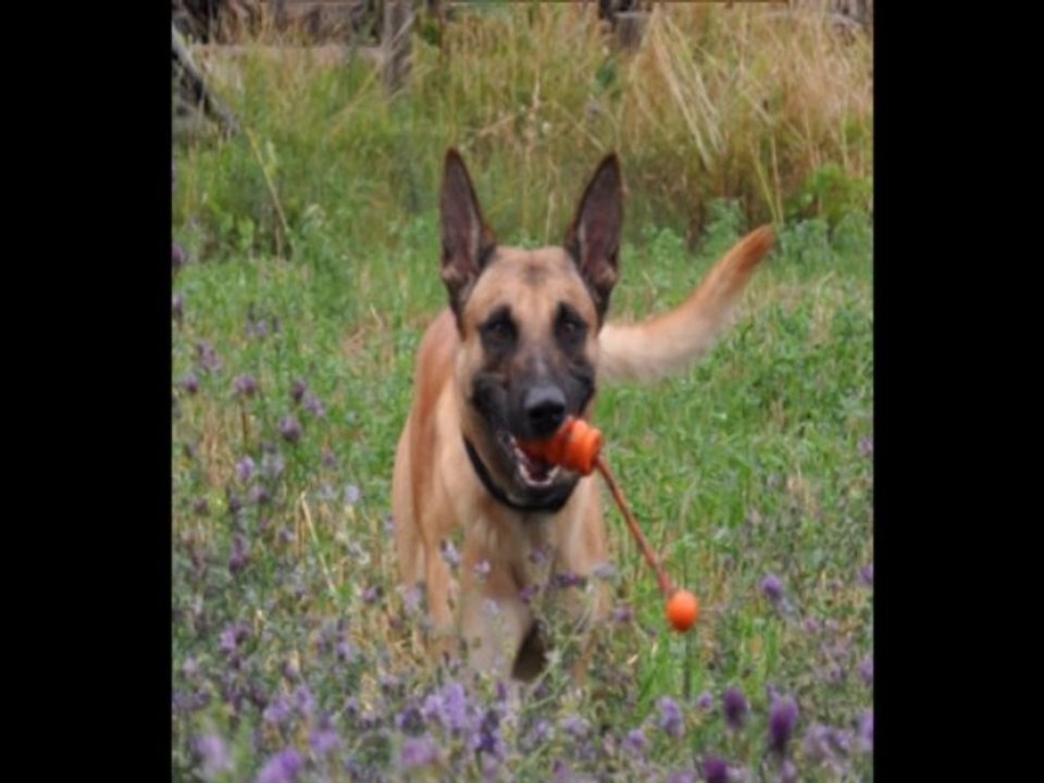 Be Aware C'Rex having fun!