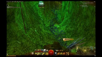 GW2 - Puzzle Jump - Grottes du Spéléologue