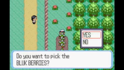 Let's Play Pokemon Ruby - Star's Challenge - Kyrix's Entry Episode 08